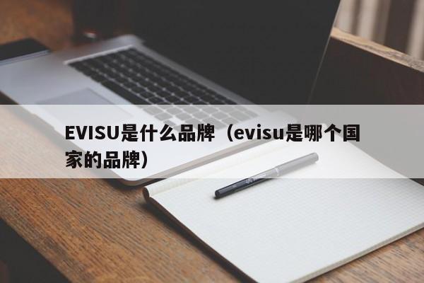 EVISU是什么品牌（evisu是哪个国家的品牌）