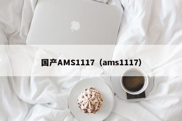 国产AMS1117（ams1117）