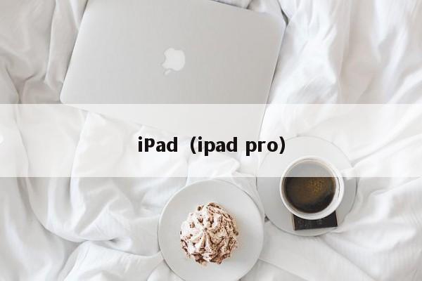 iPad（ipad pro）